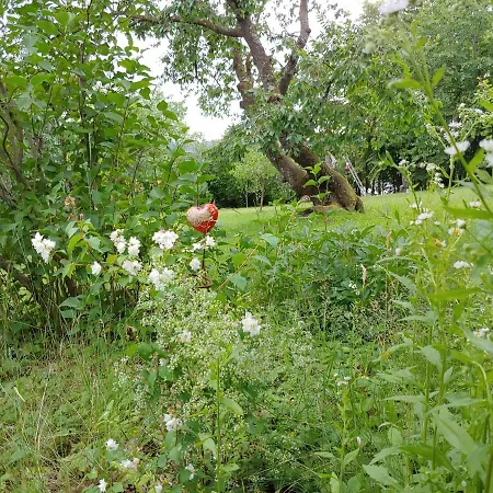 Zur Opernsaengerin Дом отдыха *