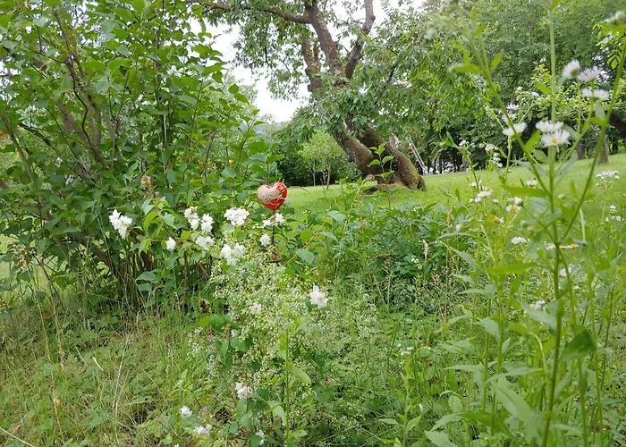 Zur Opernsaengerin بيت للعطل *